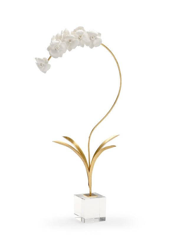 Orchid In Stand