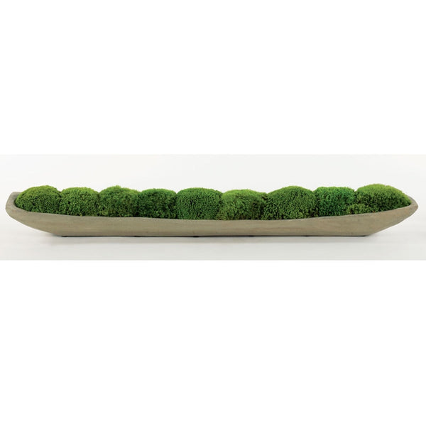 Mood Moss Garden in Wood Boat