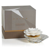 Dream Crystal/Porcelain Diffuser - Moroccan Peony