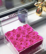Hawt Pink Roses